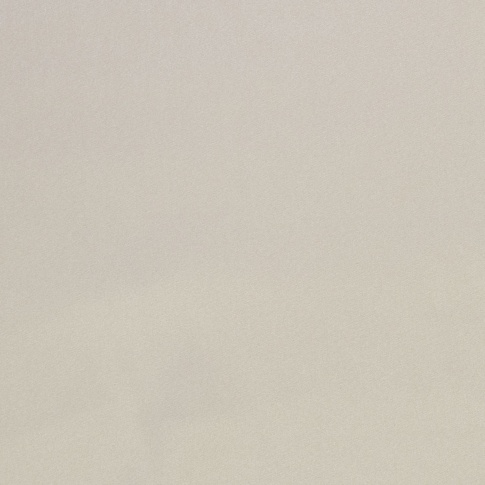 3167_304