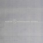 3050-109-honan-seide-ponge-blau-grau-2